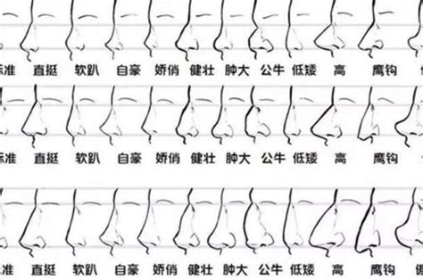 肉鼻子面相|相学最有福气的7种鼻子 面相中最有福气的7种鼻子